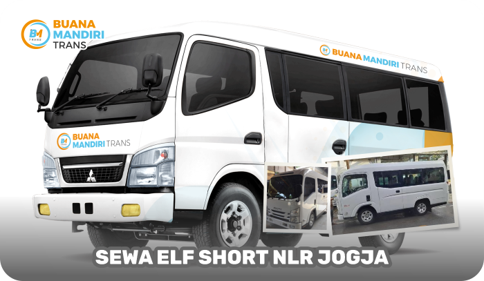 ELF SHORT NLR