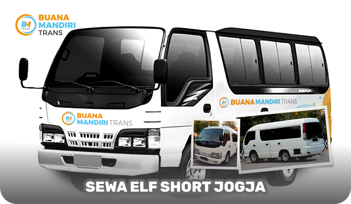 ELF SHORT